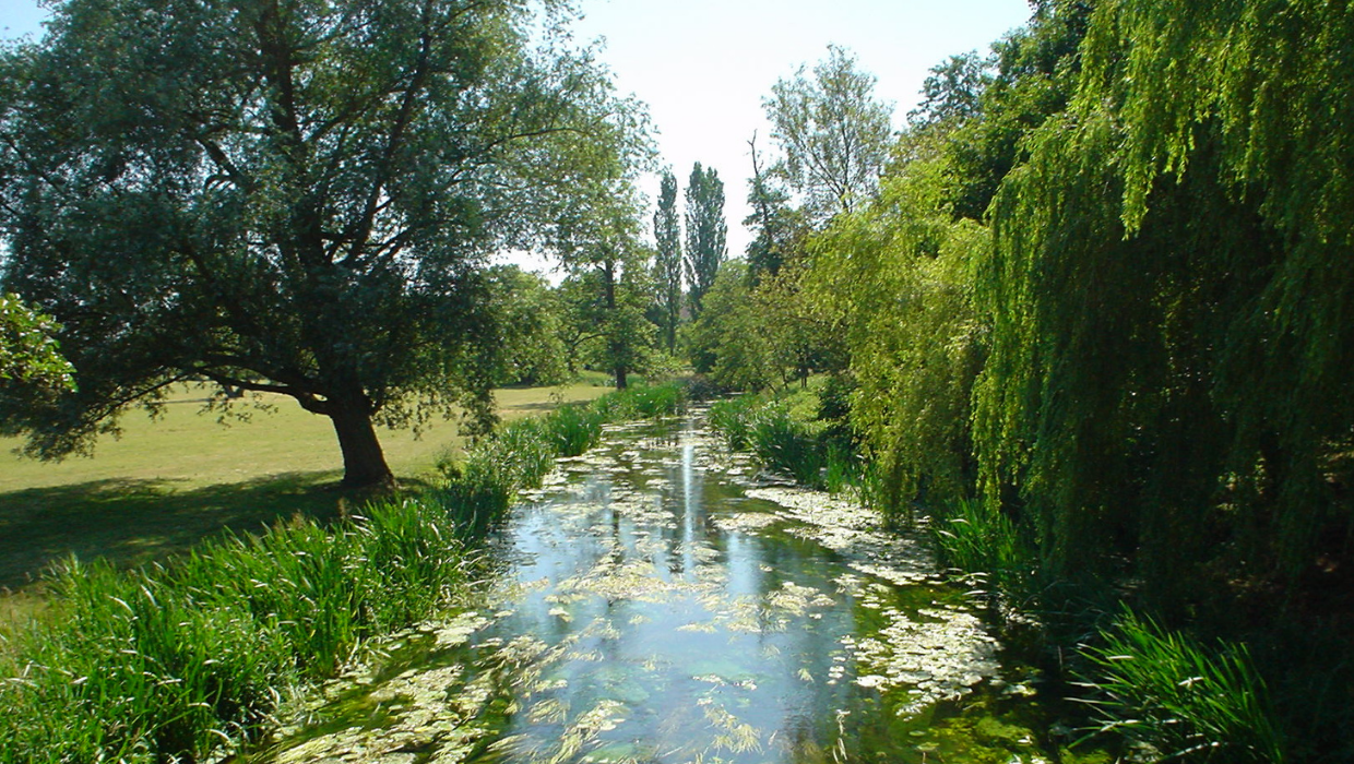 A picture of Stodmarsh. Stour Environmental Credits Ltd seeks nutrient neutrality proposals