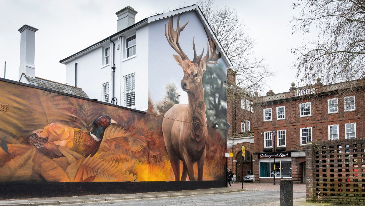 Flamboyant Fawn mural, Bank Street Ashford 