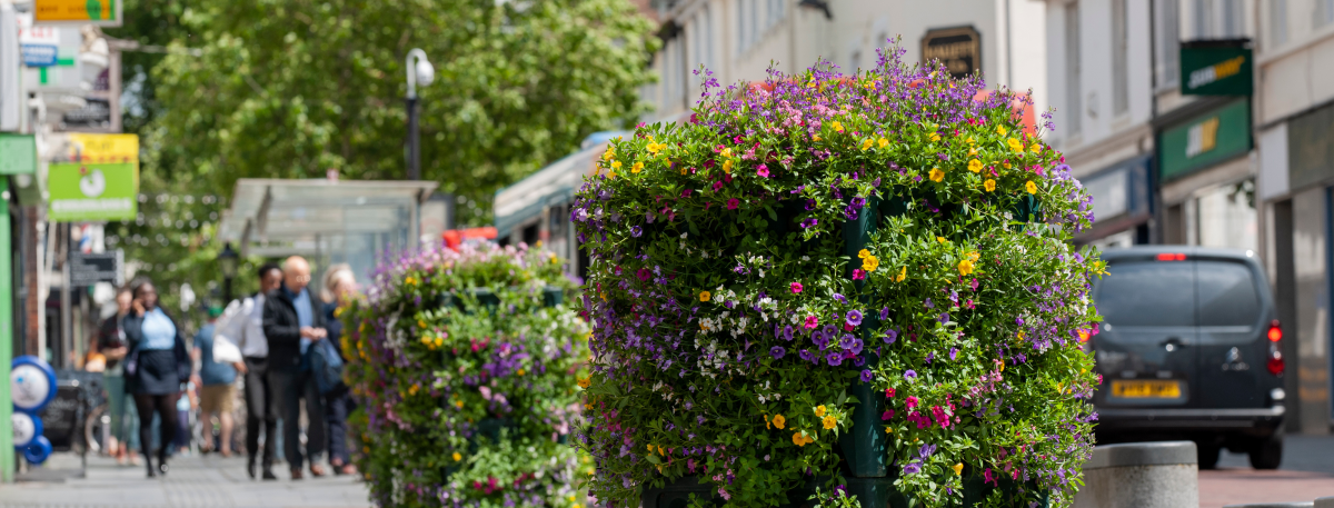 Bank Street in Ashford with some plants in the foreground and cars and shops in the background.